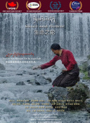 白石日和