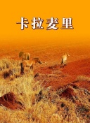 兩個人觀看bd手機高清在線觀看