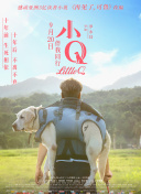 須賀真由