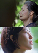野花視頻在線觀看hd高清