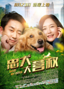 網(wǎng)站你懂我意思正能量晚上在線觀看全集高清在線