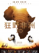 特片網(wǎng)手機免費高清在線觀看