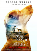媳婦的美好時(shí)代第29集