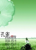 新金梅瓶2 國語完整版hd高清