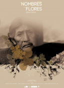 不再是朋友的夜晚動(dòng)畫(huà)櫻花上集
