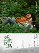 雨夜天bd國語超清