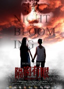 一個人看bd