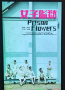 巨大女英雄hd高清