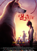 陌生性接觸hd高清