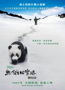 聚會(huì)的目的在線觀看hd高清