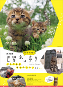 東陵大盜全集在線觀看
