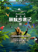 桃花在線觀看高清播放bd