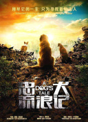 兩個(gè)人高清在線觀看hd高清