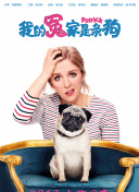 與鴨共舞hd高清
