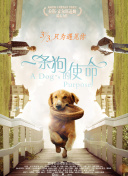 相親對(duì)象是問題學(xué)生未增刪觀看正片