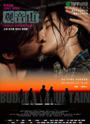 的女人電影bd高清