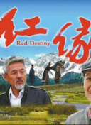 24小時日本韓國看正片