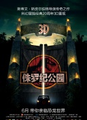 迫降航班bd中字免費(fèi)觀看