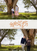 家有喜事(粵語版)速高清完整版在線