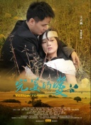俄羅斯videodese12hd高清