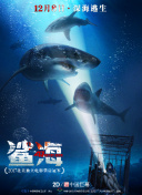 二宮沙樹