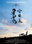 5g影訊天天5g在線hd高清