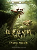 卿卿日常第34集