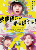 野花電影在線觀看bd高清在線觀看