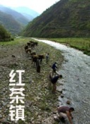 東方不敗之風(fēng)云再起 普通話在線觀看完整版無刪減