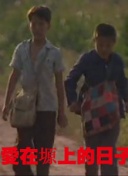 青樓十二房在線播放