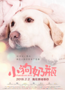 謝文東4:風(fēng)云再起之再戰(zhàn)江湖第72集