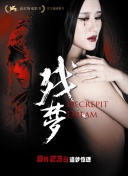 素女經(jīng)之挑情寶鑒hd高清