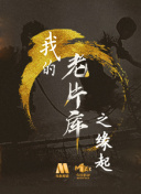 2020年國產(chǎn)理論hd高清